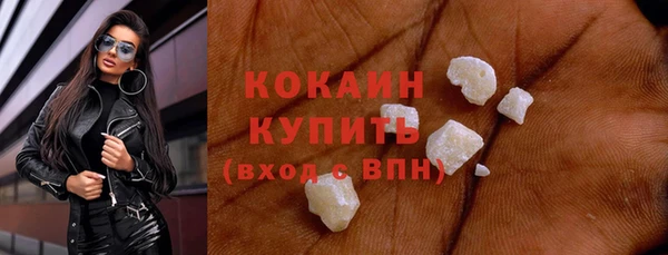 стаф Алзамай