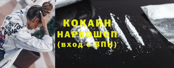 стаф Алзамай