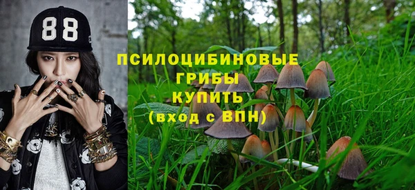круглые Алексеевка
