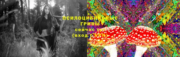 круглые Алексеевка