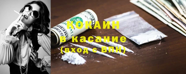 стаф Алзамай