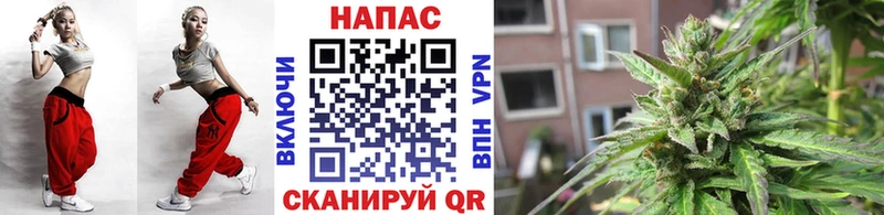 купить закладку  Грайворон  Канабис White Widow 